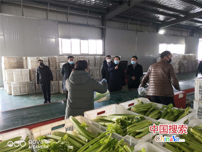 河南光山:防疫情促销售保供给 为滞销农产品解困