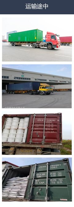 潮州海运物流内贸集装箱运输